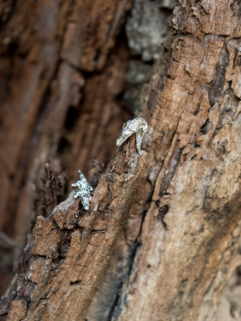 pendientes plano y curvo cocodrilo en plata en un tronco