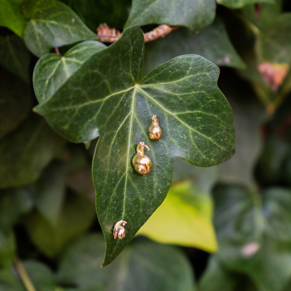 hojas de planta con pendientes caracol en diferentes tamaños chapado en oro