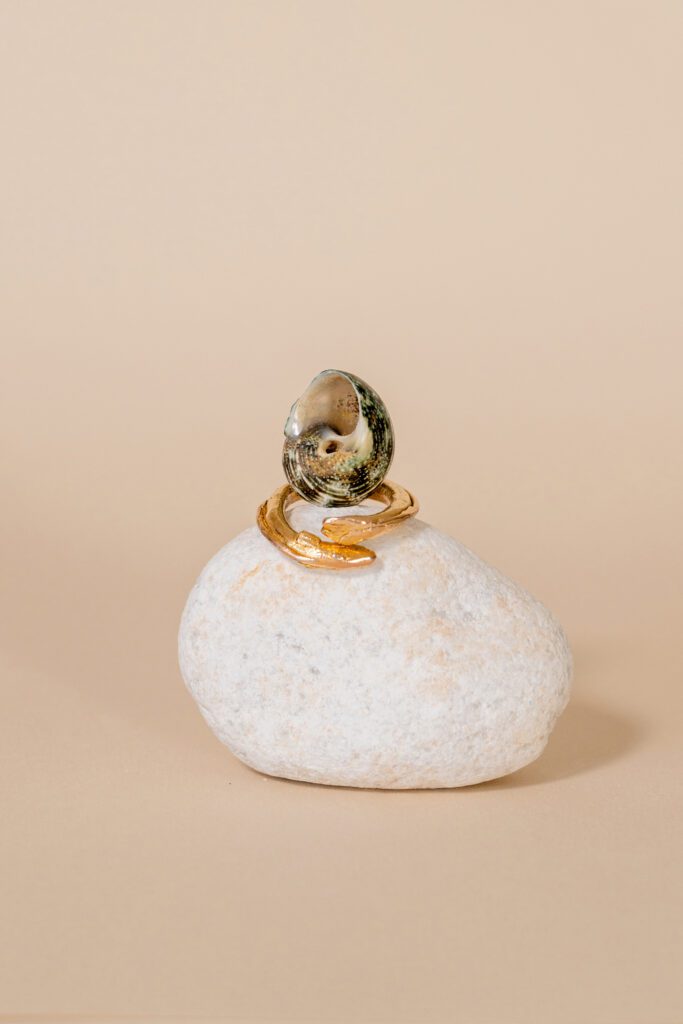 anillo oro colección peces sobre piedra y caracol de mar