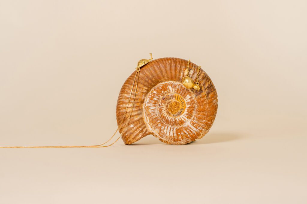 caracola con collares de caracol colección vivarium