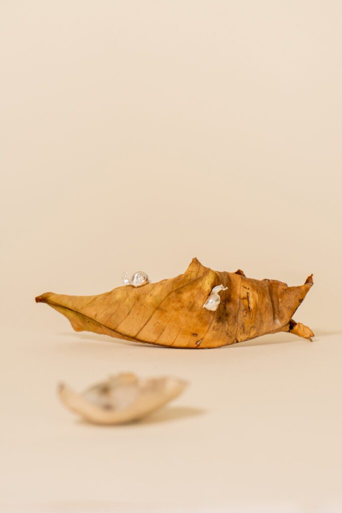 hoja seca con colgante de caracol en plata