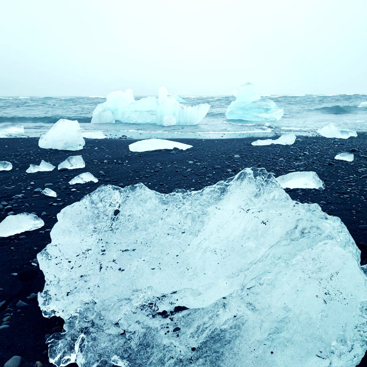icebergs en el mar