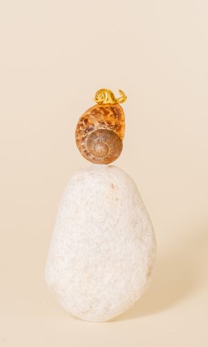 colgante caracol oro encima de una piedra blanca